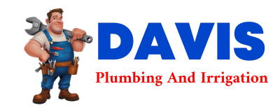 Trusted plumber in CATHAY